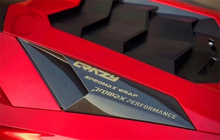 Высококачественные задние вентиляционные отверстия двигателя из сухого углеродного волокна, украшение вентиляционного отверстия заднего крыла для Lamborghini LP700 LP720 3