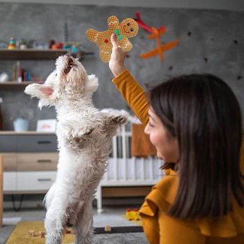 Плюшевые игрушки для собак со скрипучими чистящими зубами, устойчивые к укусам Игрушки рождественской серии, встроенный эхолот, портативные прочные принадлежности для домашних животных