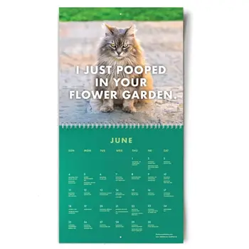 НОВЫЙ Календарь с забавным котом на 2023 год, подарок для друзей, семьи, соседей, коллег, родственников, любимых, офисного искусства, Лунного календаря