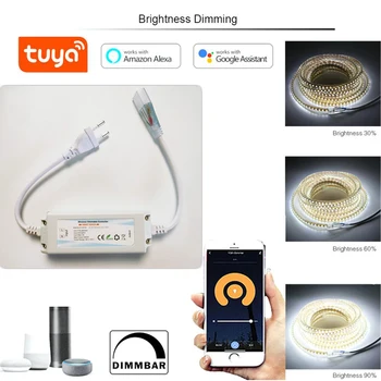 220V Tuya Wifi Warmwhite Light Strip Dimmer Switch Одноцветный Высоковольтный Диммер Управления для Smart Life /Alexa и Google