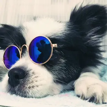 Крутые Очки для домашних животных, Защитные Очки для собак, Модные Солнцезащитные очки для маленьких собак, Щенков и кошек, Защита глаз домашних собак